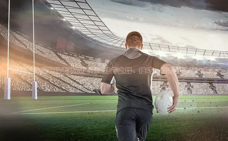 非凡游戏app官网进入百度人工翻译“揭秘吉林省二级运动员足球：培养之路、技巧、竞赛经验等全解析”