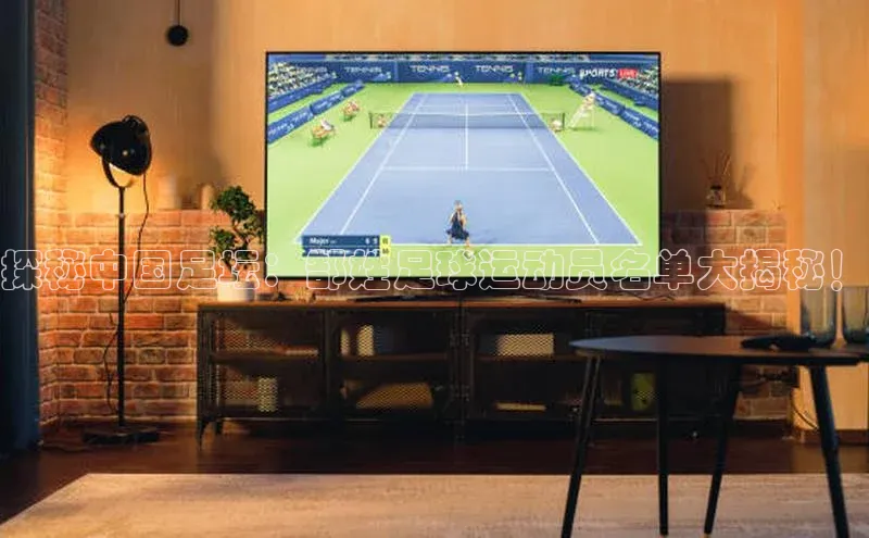 非凡游戏官方网址入口元隆雅图探秘中国足坛：郜姓足球运动员名单大揭秘！