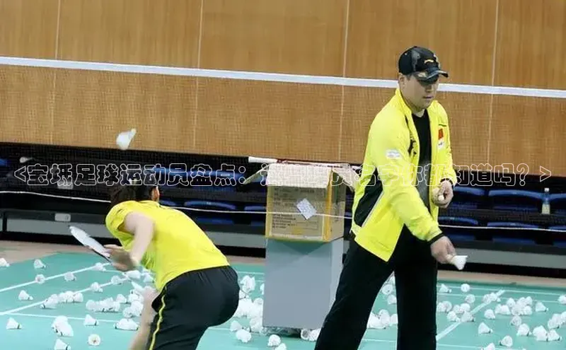 非凡娱乐app百度技术学院<宝坻足球运动员盘点：这些球员名字你都知道吗？>