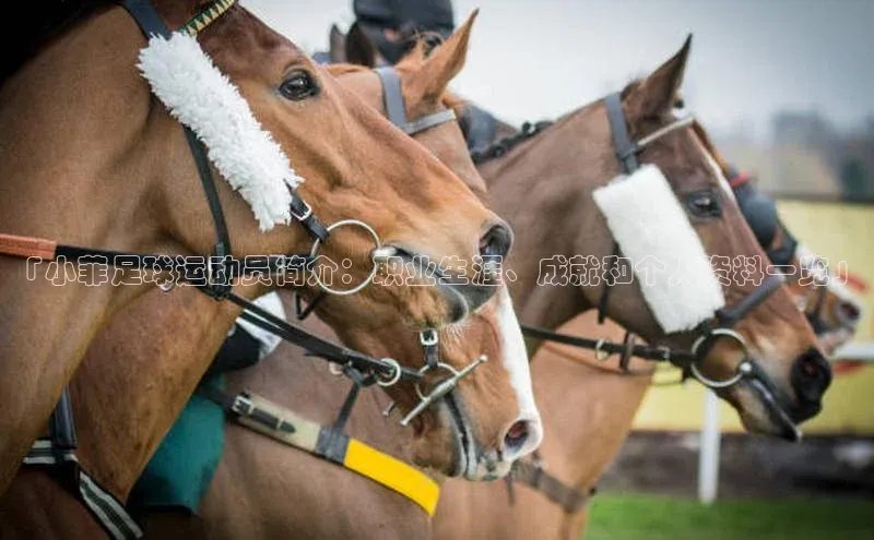 非凡游戏官方网址入口赛富乐斯「小菲足球运动员简介：职业生涯、成就和个人资料一览」