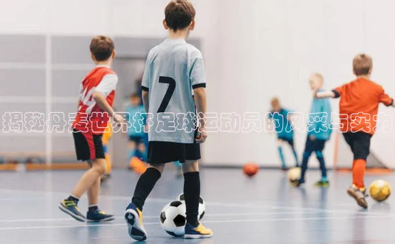 非凡电子游戏平台官网挪威主权基金揭秘丹麦世界杯足球运动员的风采与实力