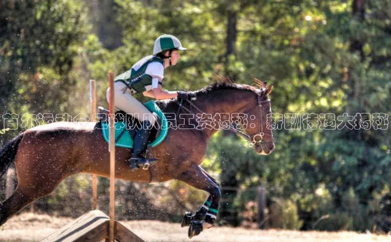 非凡电子游戏平台官网百度翻译首尔运动会足球队队员工资揭秘：薪酬待遇大揭秘