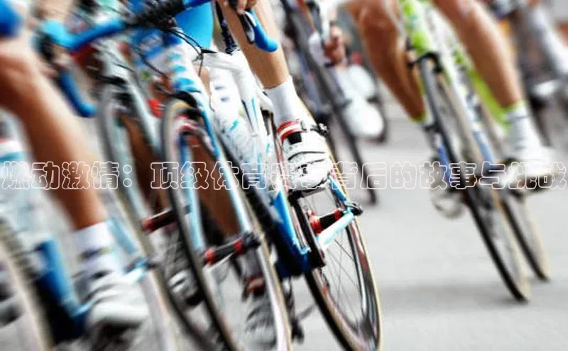 非凡棋牌中文在线燃动激情：顶级体育赛事背后的故事与挑战