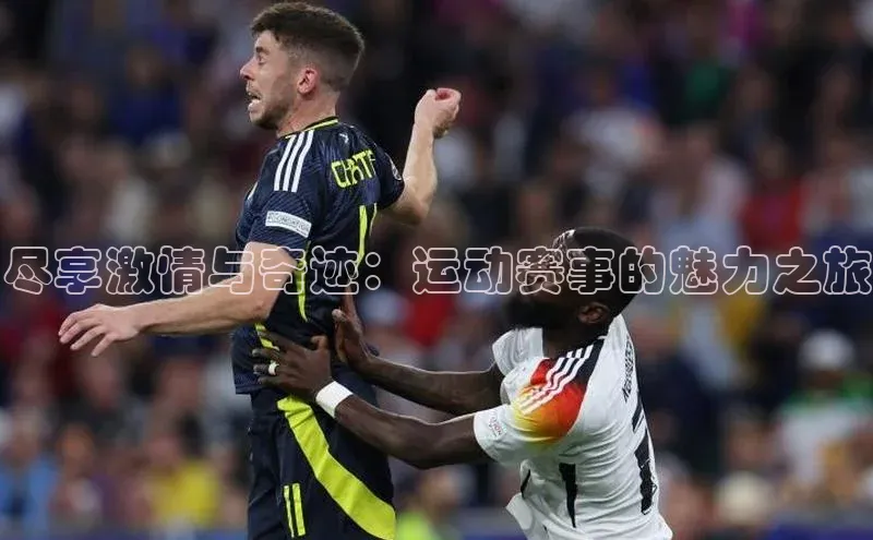 非凡游戏官方网址入口赛富乐斯尽享激情与奇迹：运动赛事的魅力之旅