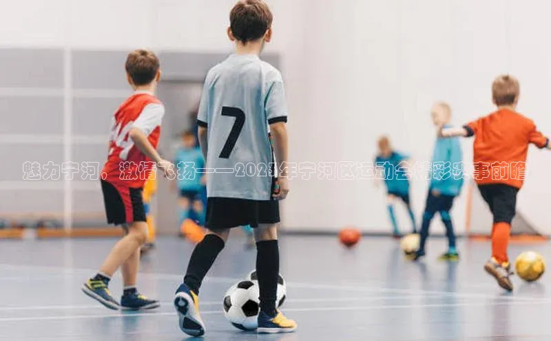 魅力宁河，激情飞扬——2023年宁河区运动会精彩赛事前瞻