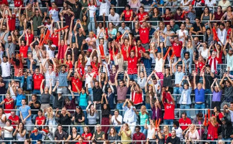 青春活力与安全保障：探讨大学生参与运动赛事时的保险需求与