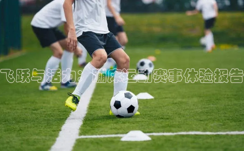 飞跃与活力：蹦床运动赛事体验报告