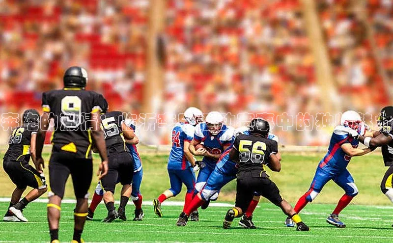 奔跑的激情：临沂李宁运动赛事中的独特魅力