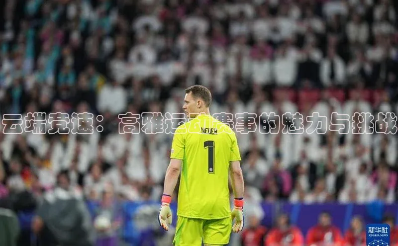 云端竞速：高雅运动赛事的魅力与挑战