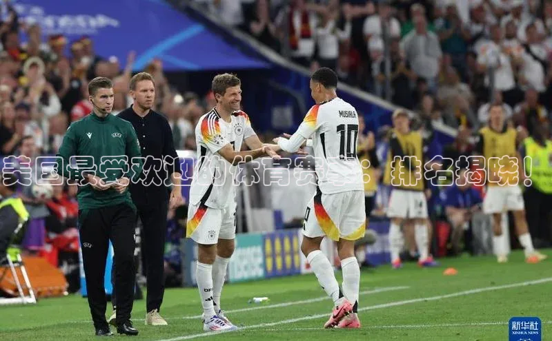 美国最受欢迎的体育赛事：排名揭晓！