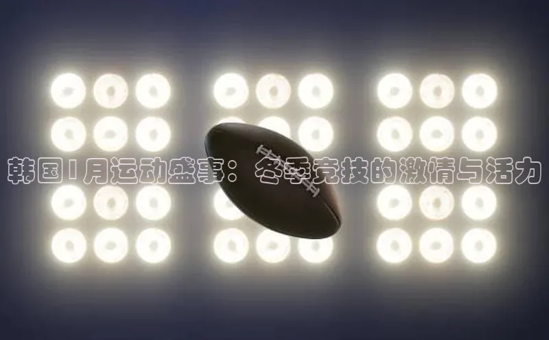 韩国1月运动盛事：冬季竞技的激情与活力