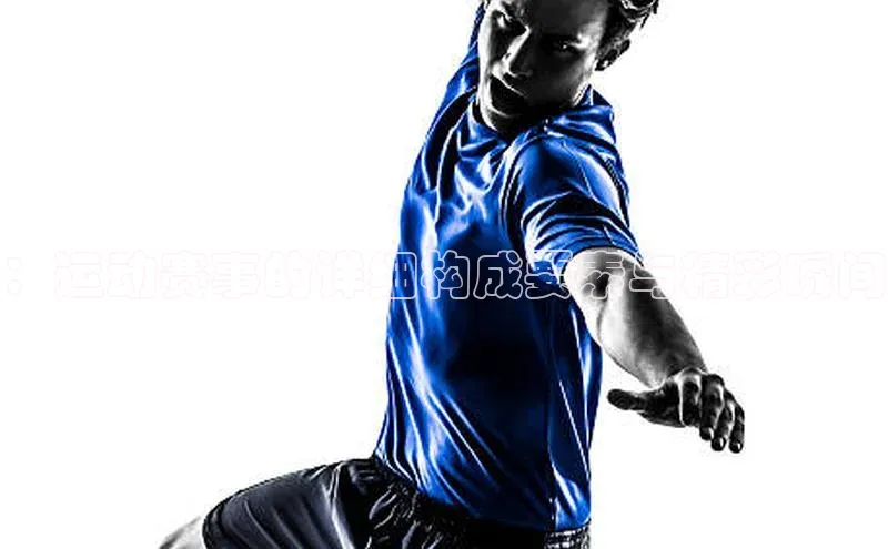 ：运动赛事的详细构成要素与精彩瞬间