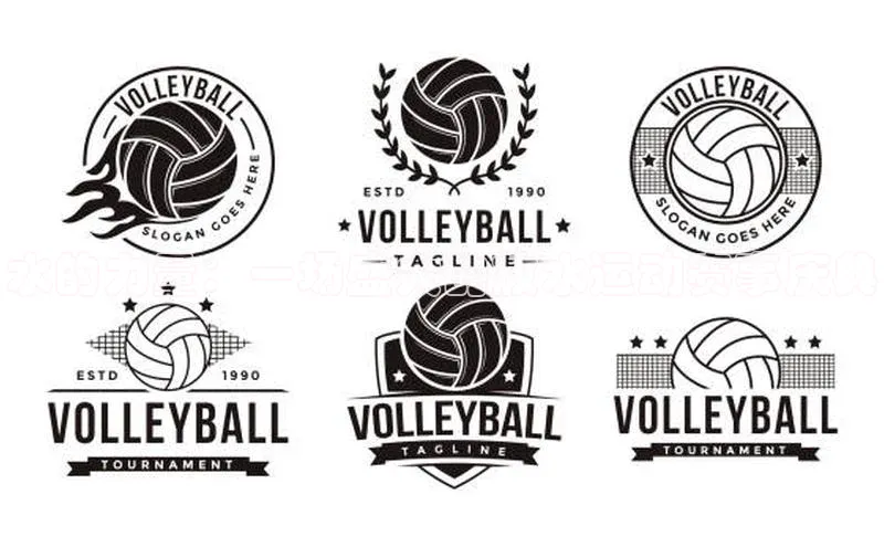 水的力量：一场盛大的放水运动赛事庆典