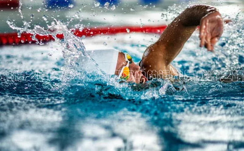 荣耀之路：专业体育赛事中的运动员成才之路