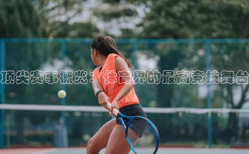 顶尖赛事概览：体育界的最高竞技舞台