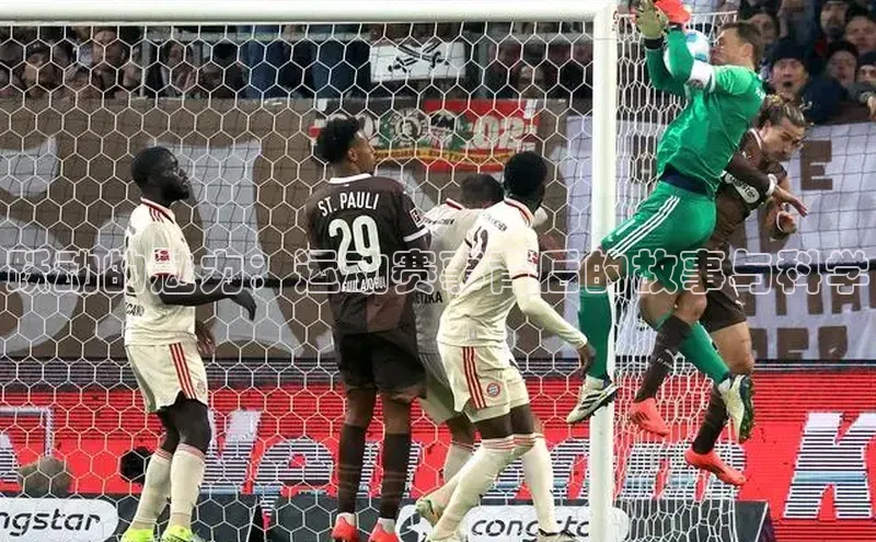 跃动的魅力：运动赛事背后的故事与科学