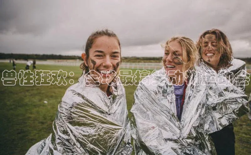 非凡游戏官方网址入口