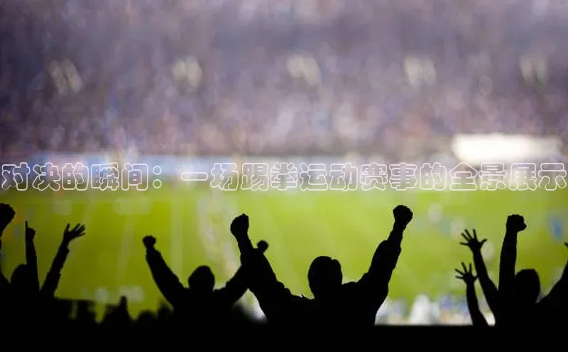 对决的瞬间：一场踢拳运动赛事的全景展示